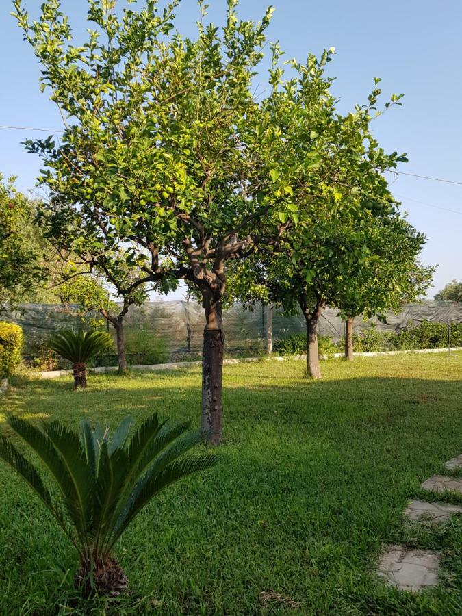 Casa Vacanza Le Tre Palme Daire Floridia Dış mekan fotoğraf